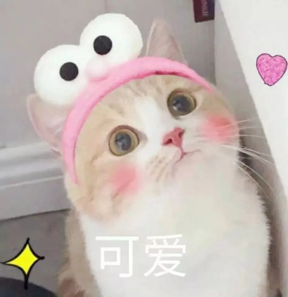 img of 为了这个功能，产品经理和程序员打了一架
