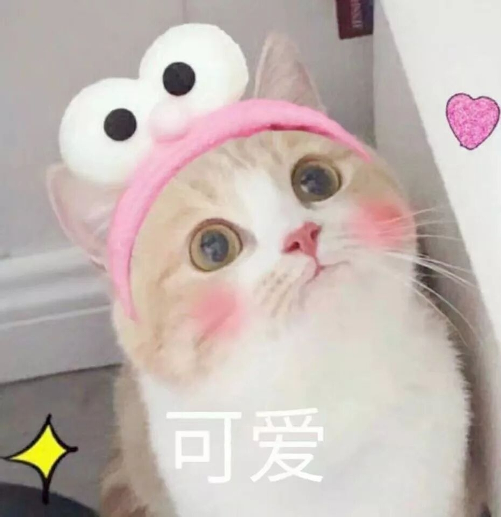 img of 为了这个功能，产品经理和程序员打了一架